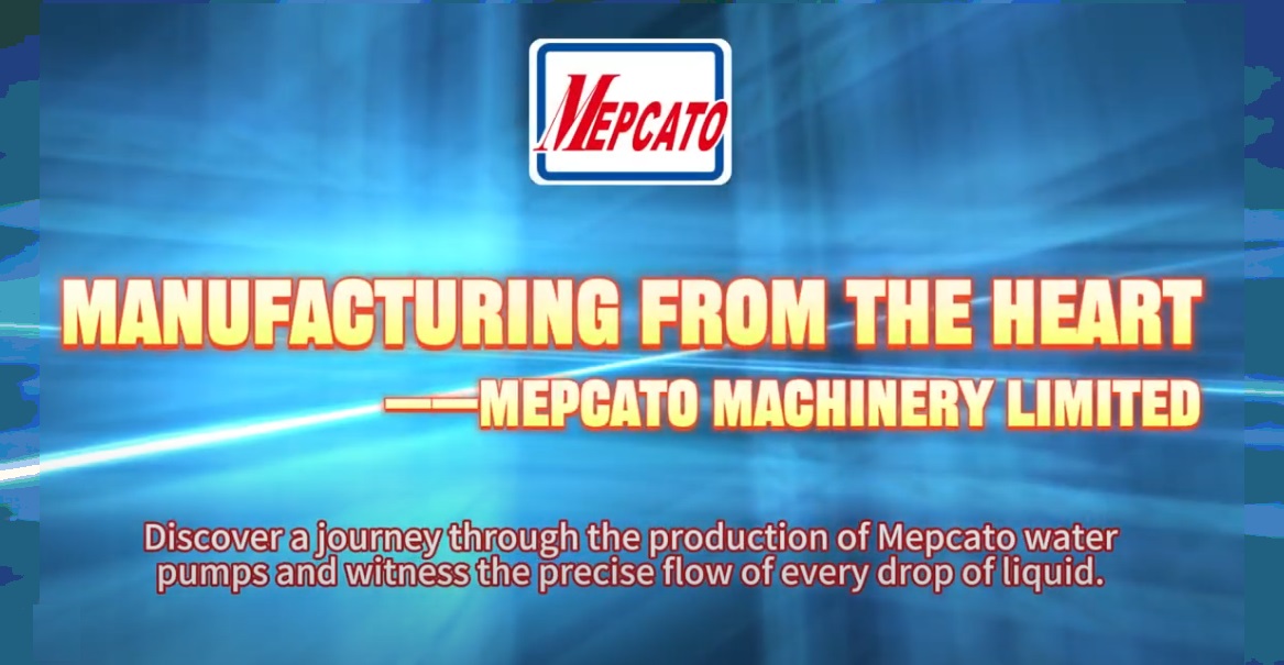 A Video Let You Know More about Mepcato